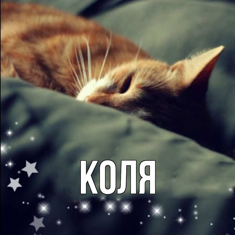 Открытка  с именем. коля, Главная  