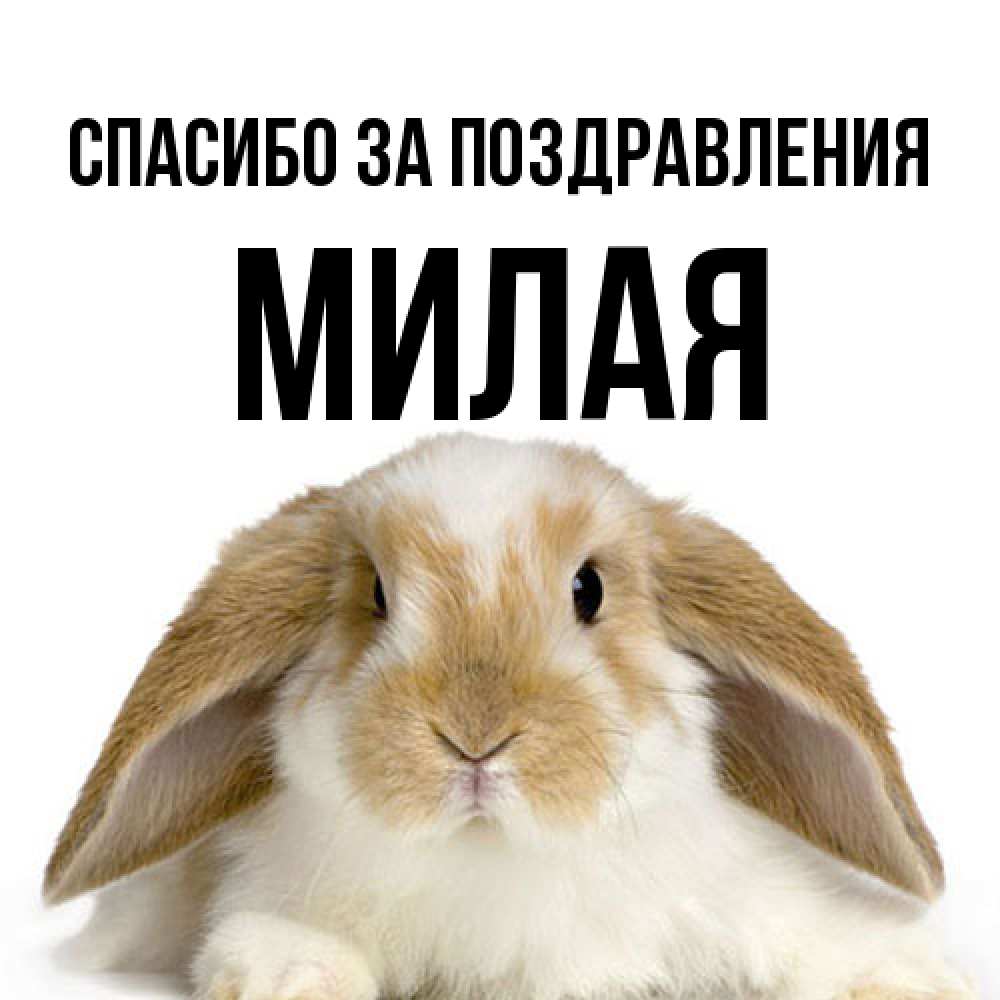 Открытка  с именем. Милая, Спасибо за поздравления  