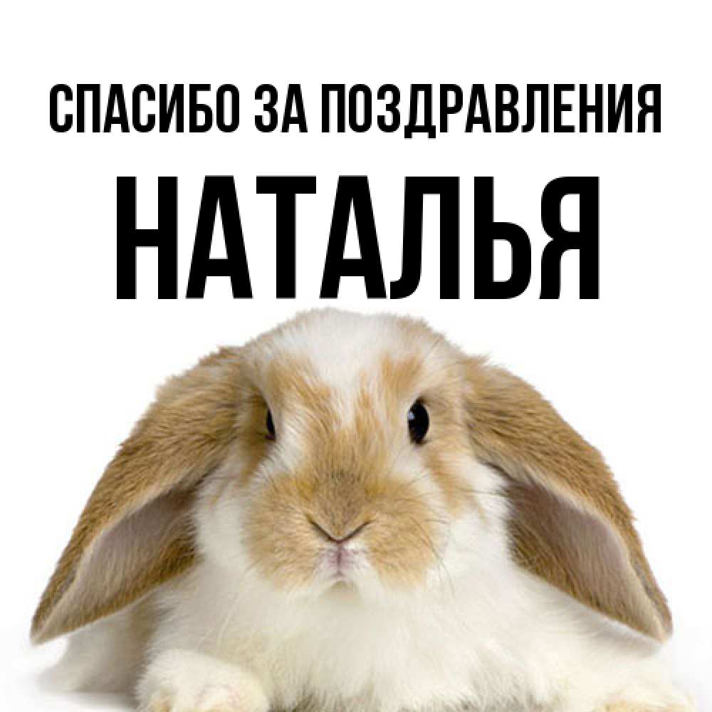 Открытка  с именем. Наталья, Спасибо за поздравления  
