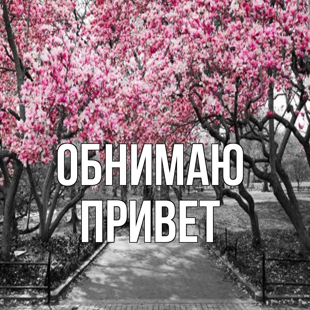 Открытка  с именем. Привет, Обнимаю  