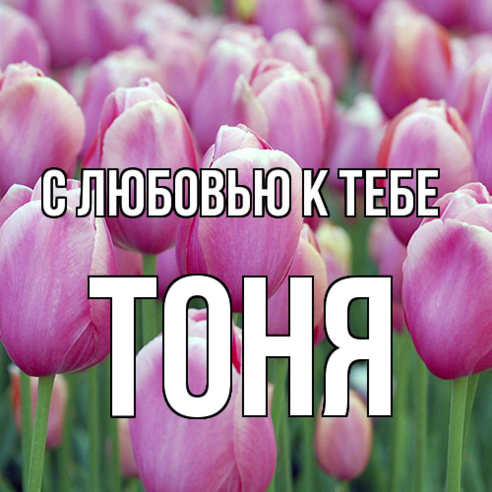 Открытка  с именем. Тоня, С любовью к тебе  