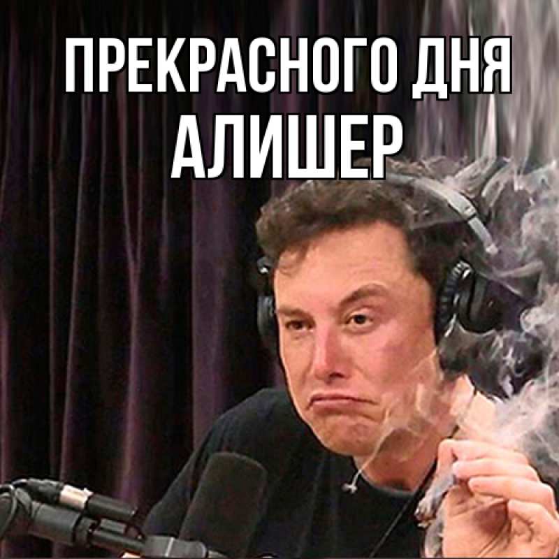 Картинка Прекрасного дня, Алишер