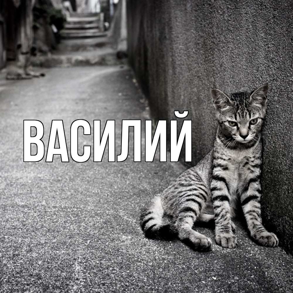 Открытка  с именем. Василий, Главная  