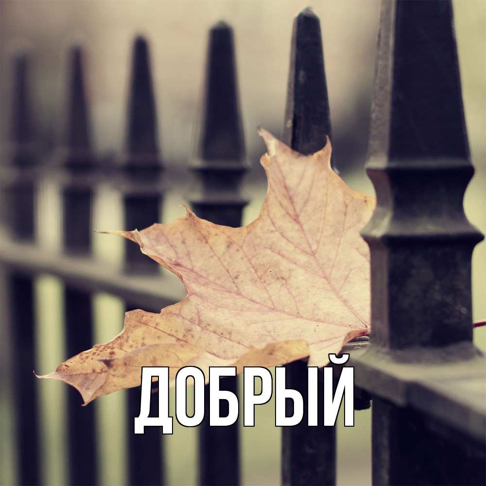 Открытка  с именем. Добрый, Главная  