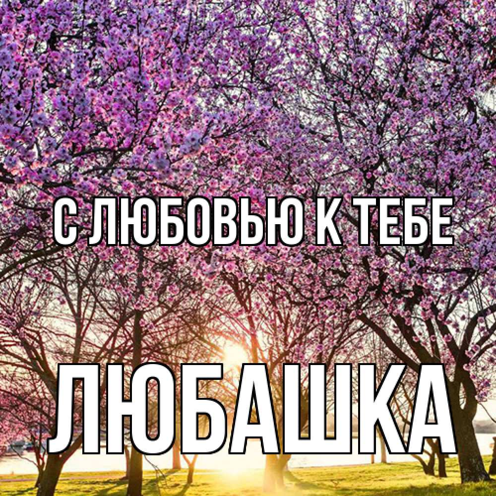 Открытка  с именем. Любашка, С любовью к тебе  