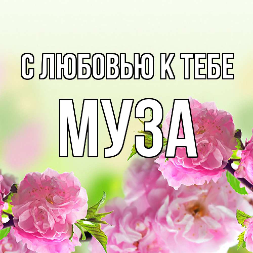 Открытка  с именем. Муза, С любовью к тебе  