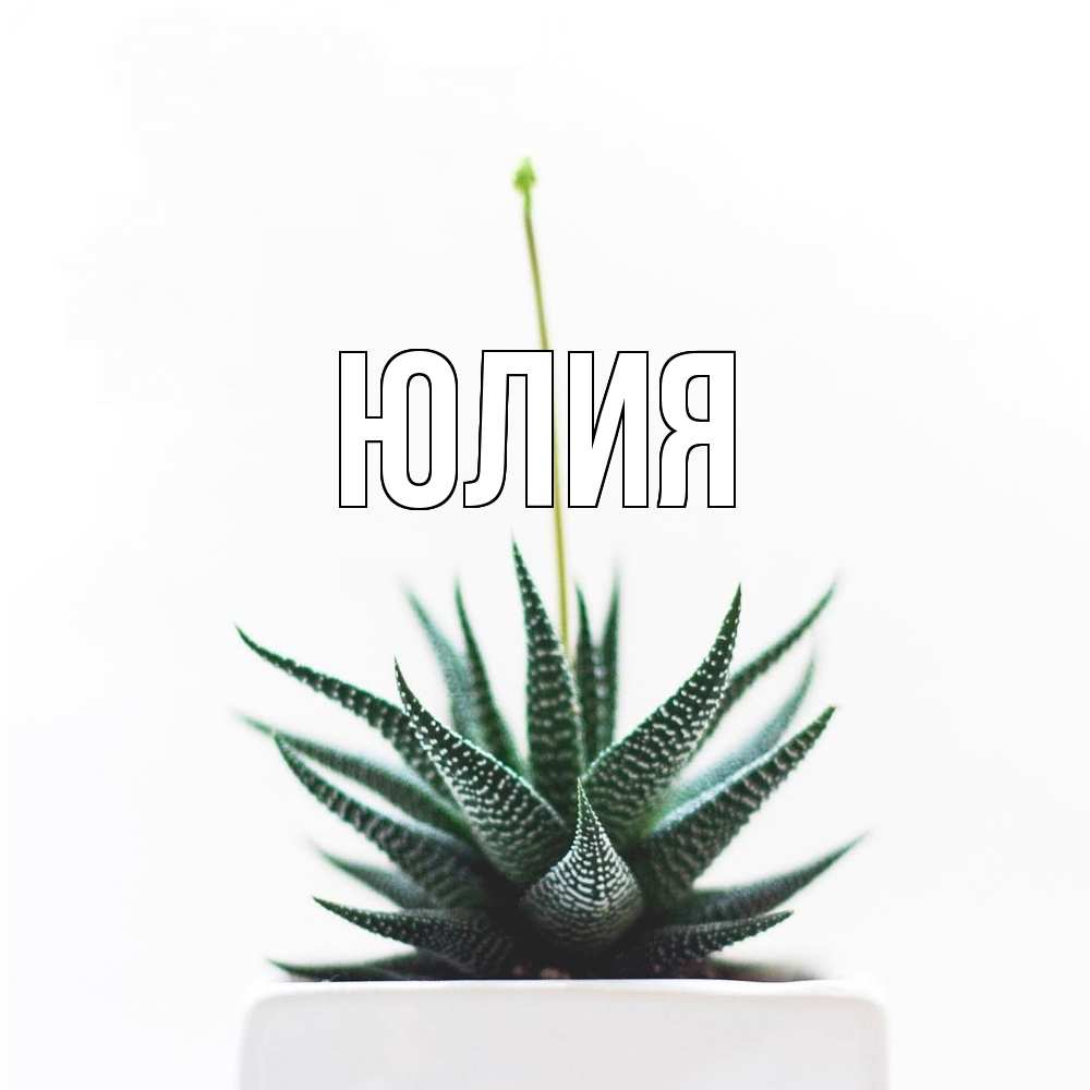 Открытка  с именем. Юлия, Главная  
