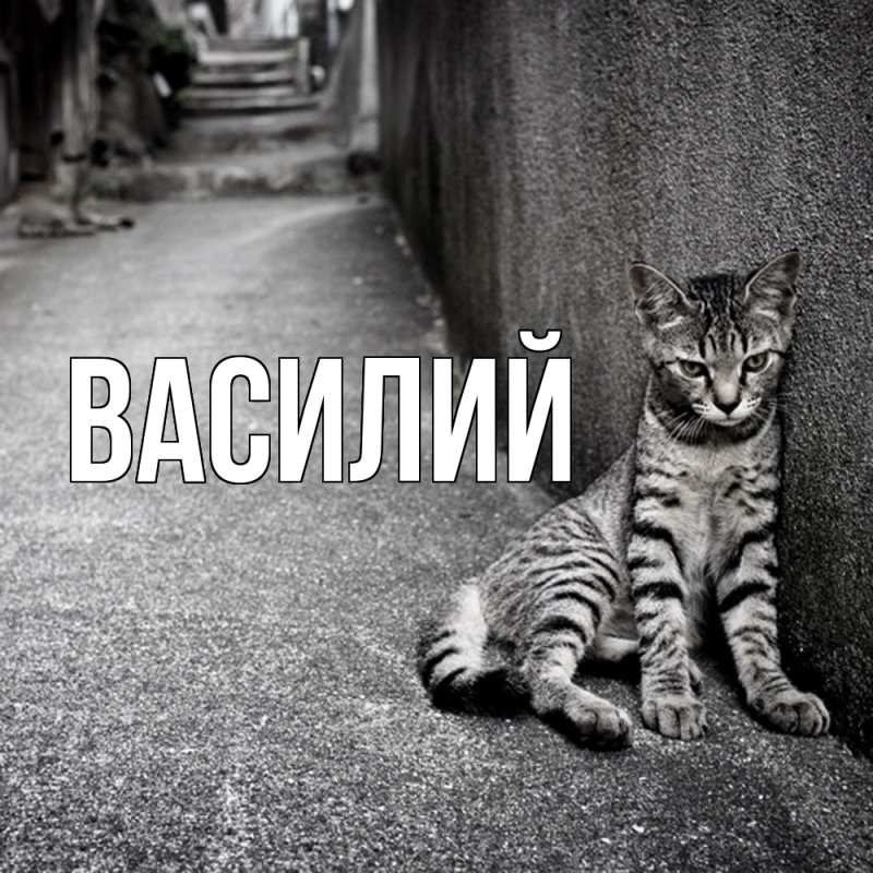 Картинка  с именем , Василий