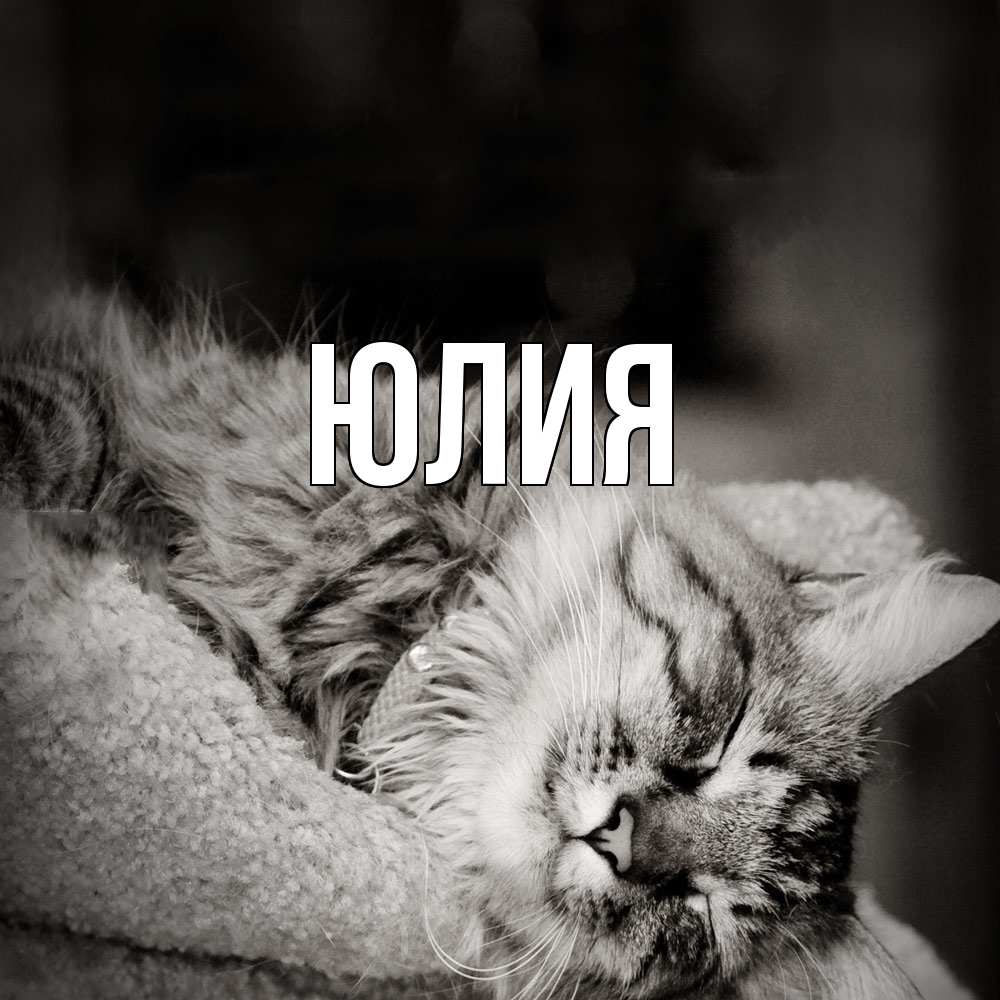 Открытка  с именем. Юлия, Главная  