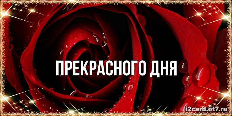 Картинка Прекрасного дня, 