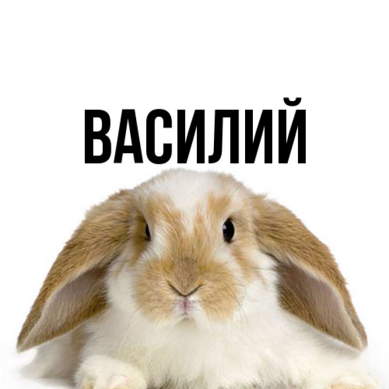 Картинка  с именем , Василий