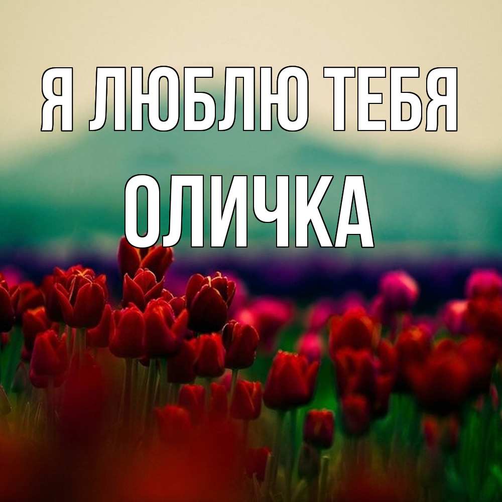 Открытка  с именем. Оличка, Я люблю тебя  