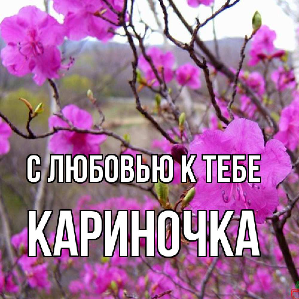 Открытка  с именем. Кариночка, С любовью к тебе  