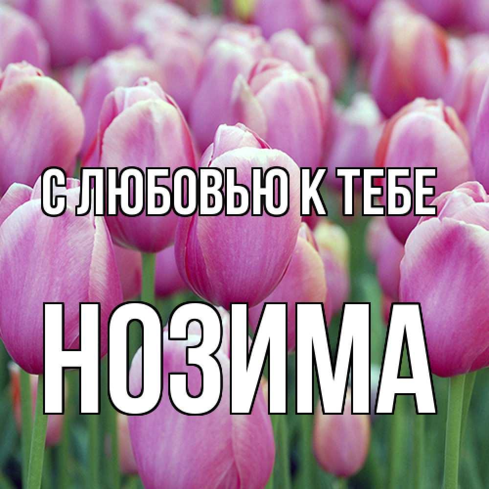 Открытка  с именем. НОЗИМА, С любовью к тебе  