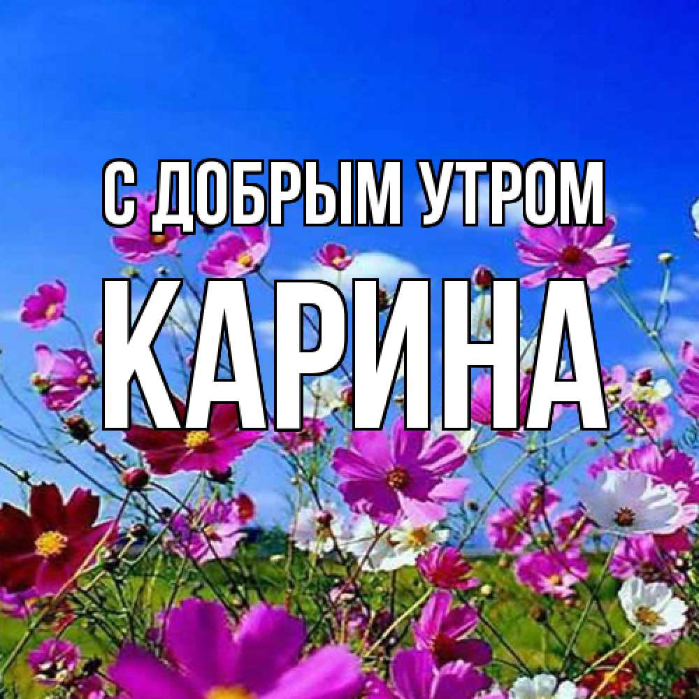 Открытка  с именем. Карина, С добрым утром  