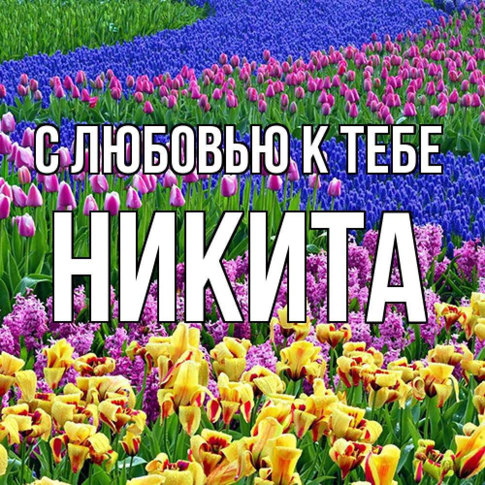 Открытка  с именем. Никита, С любовью к тебе  