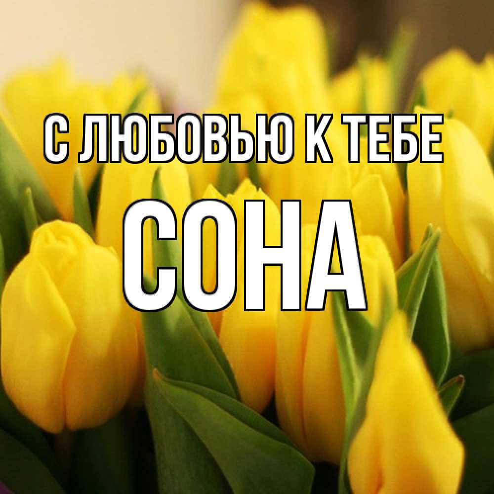 Открытка  с именем. СОНА, С любовью к тебе  