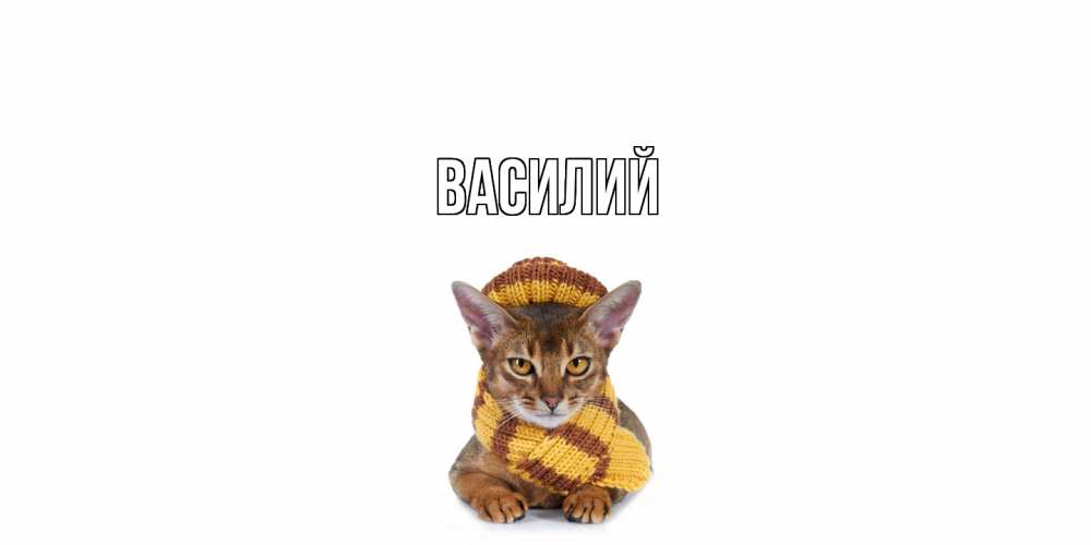 Открытка  с именем. Василий, Главная  