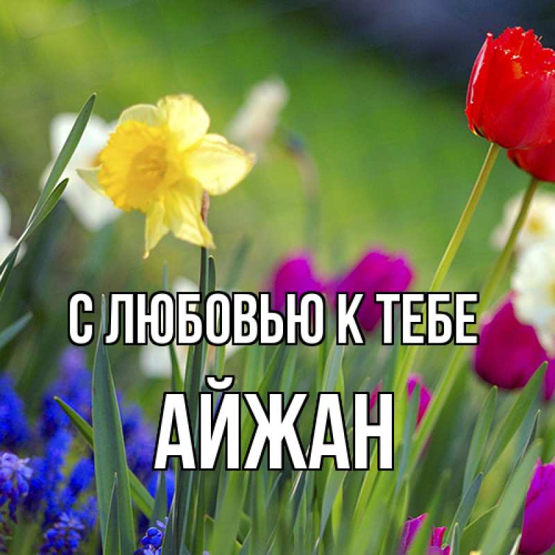 Картинка С любовью к тебе, Айжан