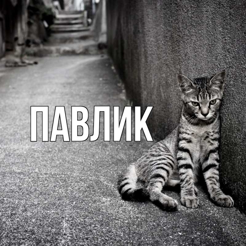 Картинка  с именем , Павлик
