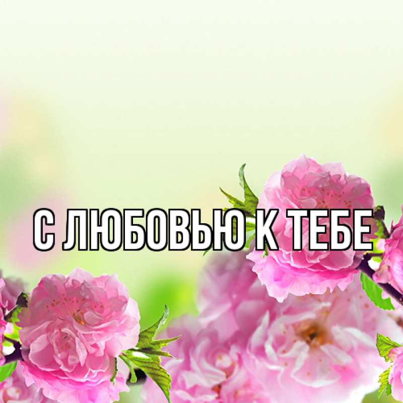 Картинка С любовью к тебе, 
