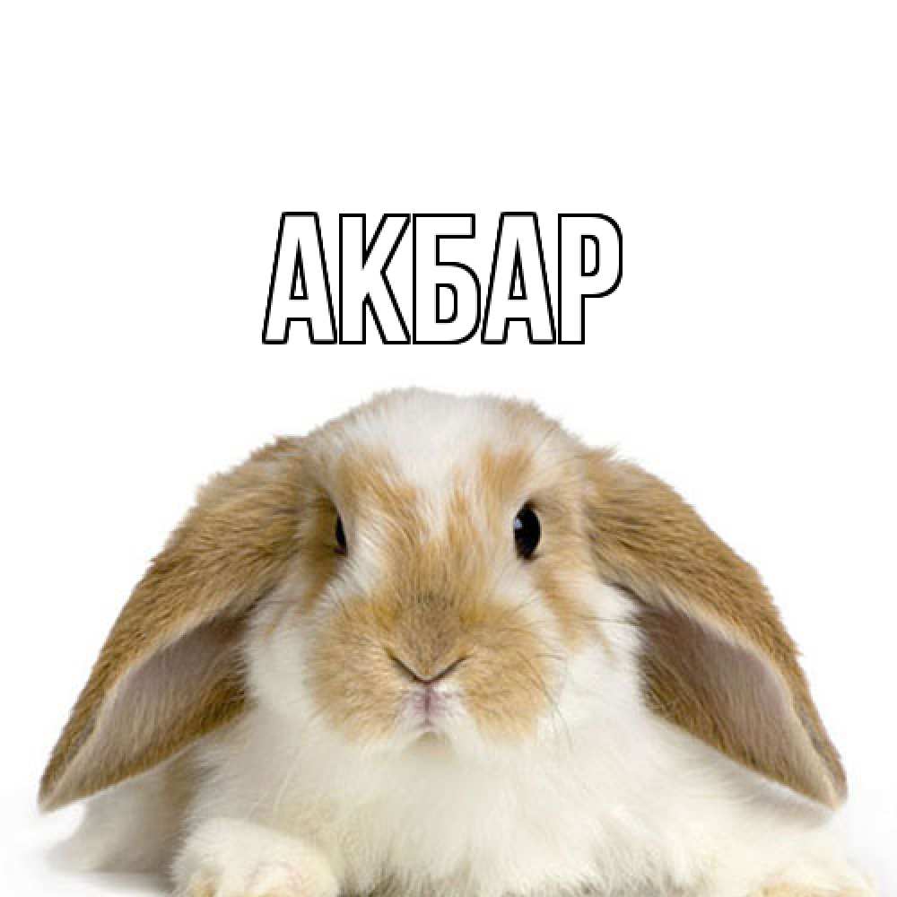 Открытка  с именем. Акбар, Главная  