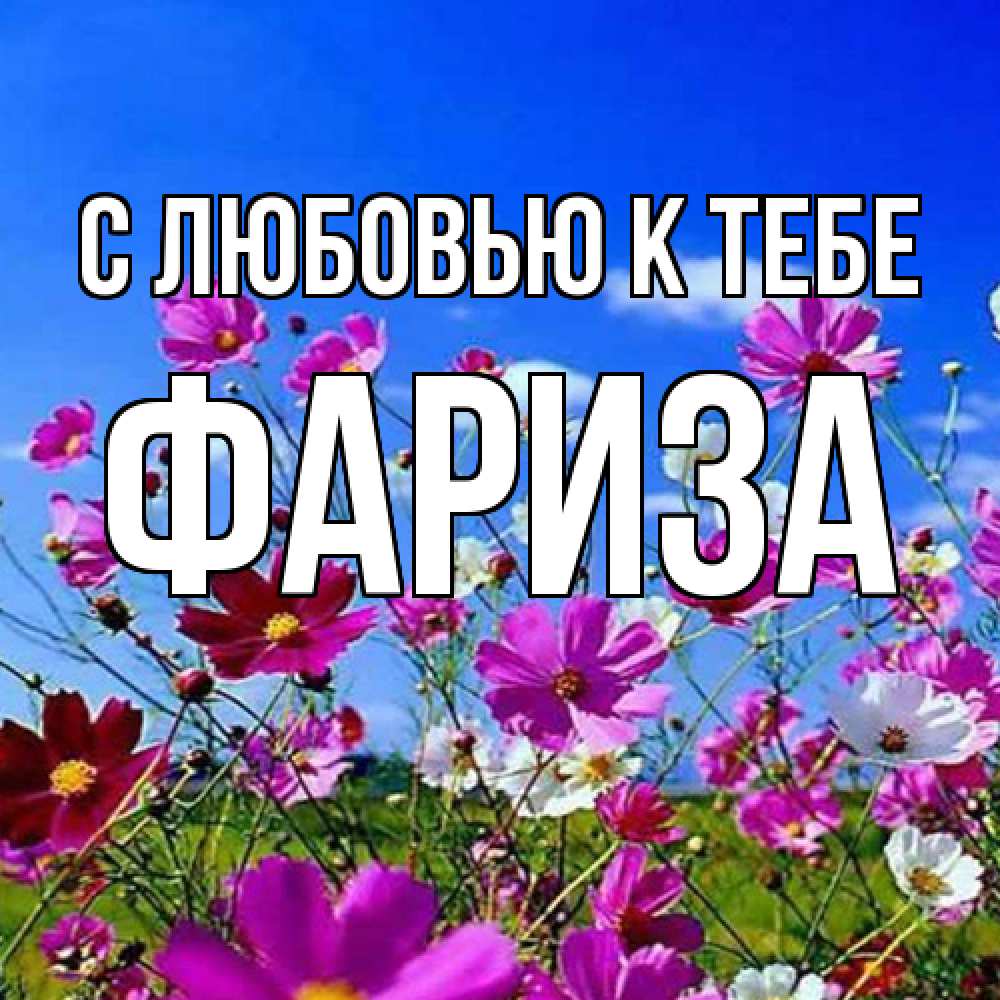 Открытка  с именем. Фариза, С любовью к тебе  