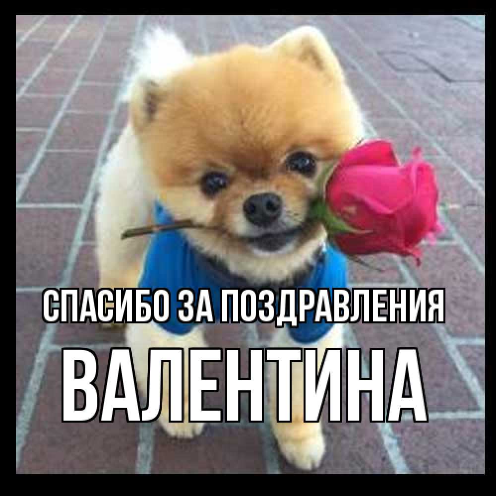 Открытка  с именем. валентина, Спасибо за поздравления  