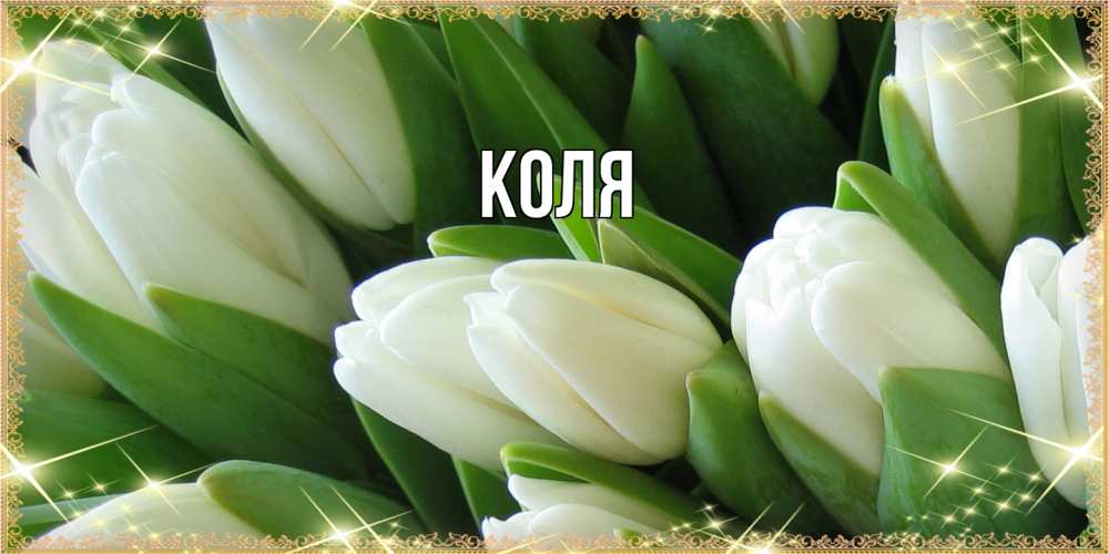 Открытка  с именем. коля, Главная  