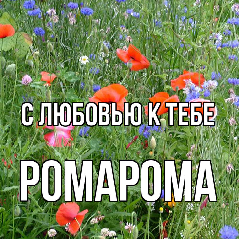 Открытка  с именем. РомаРома, С любовью к тебе  
