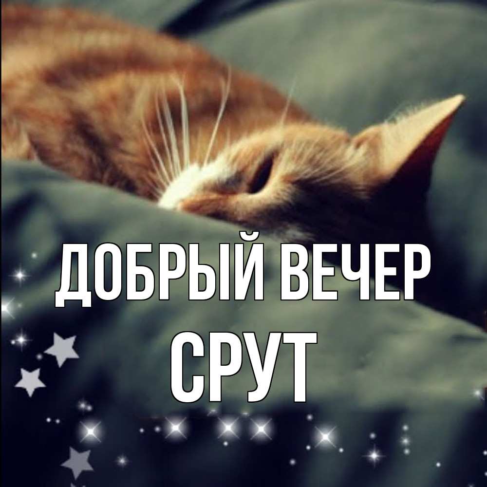 Открытка  с именем. срут, Добрый вечер  