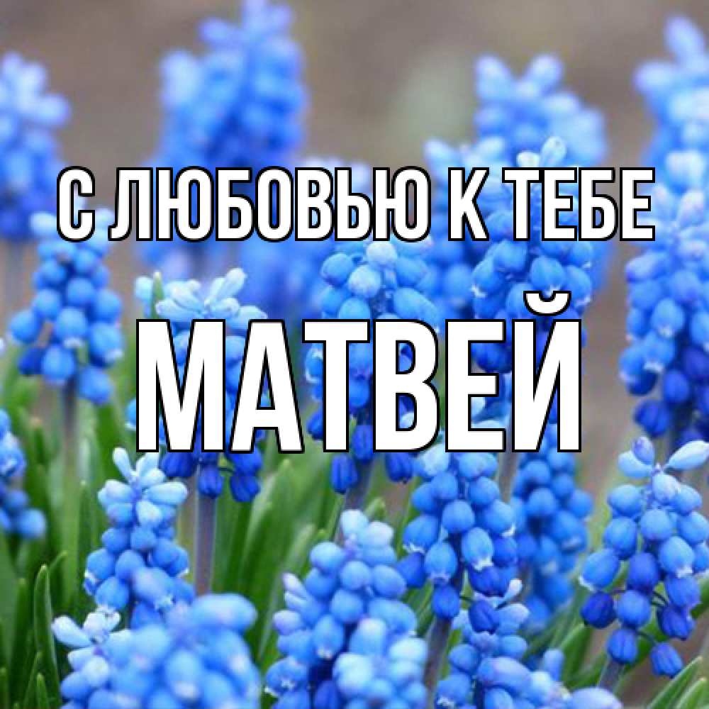 Открытка  с именем. Матвей, С любовью к тебе  