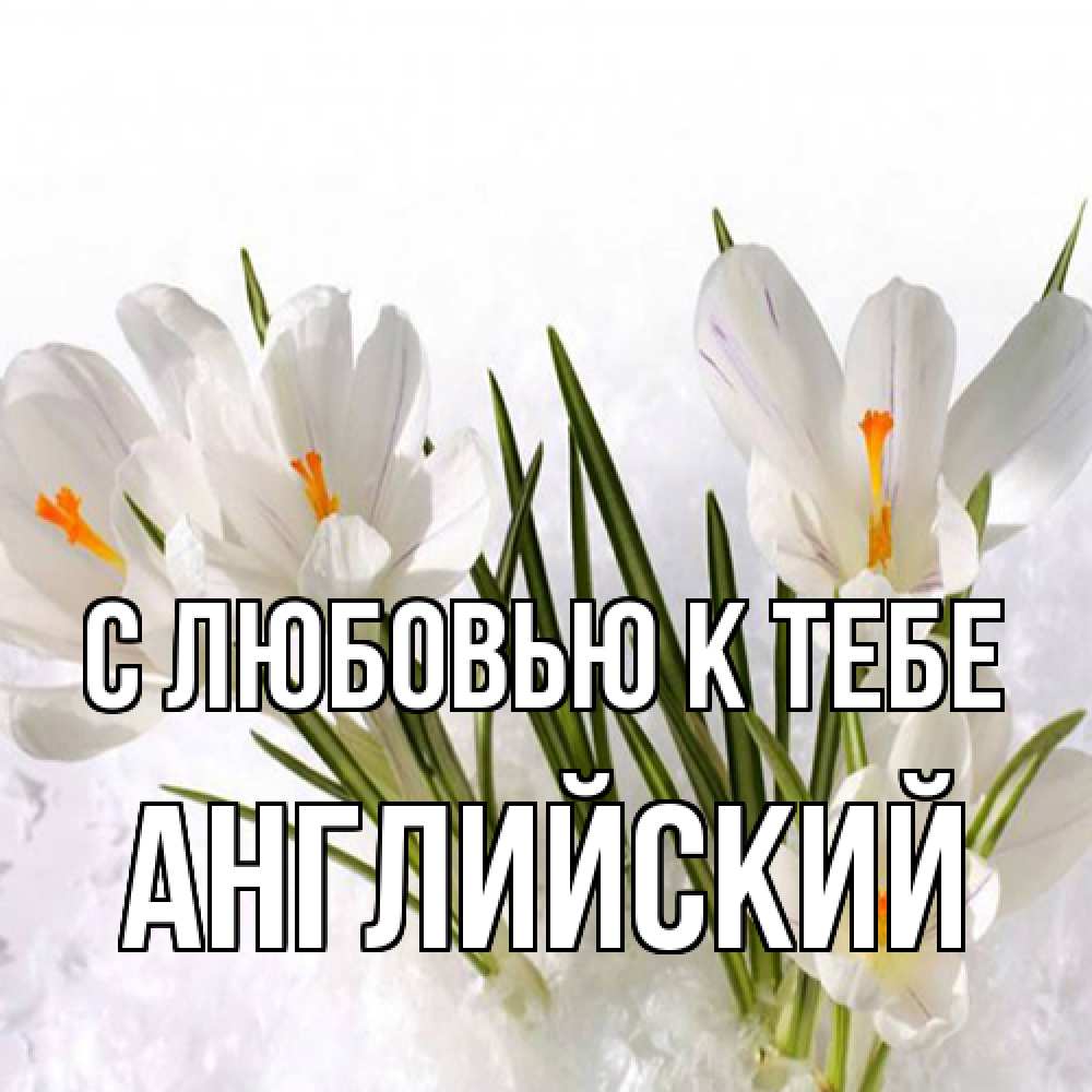 Открытка  с именем. Английский, С любовью к тебе  