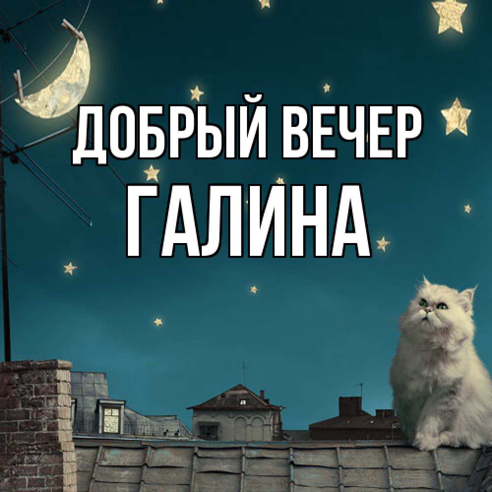 Открытка  с именем. Галина, Добрый вечер  