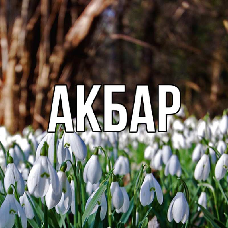Картинка  с именем , Акбар