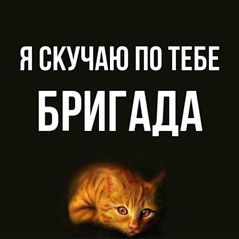 Картинка Я скучаю по тебе, Бригада