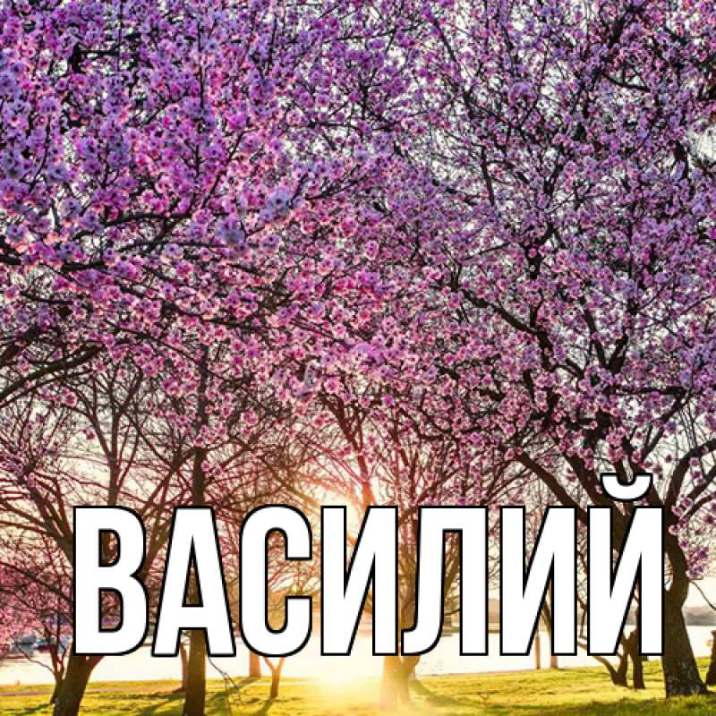 Картинка  с именем , Василий