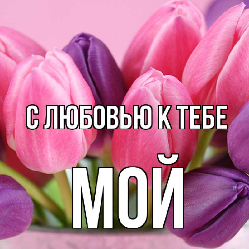 Картинка С любовью к тебе, Мой