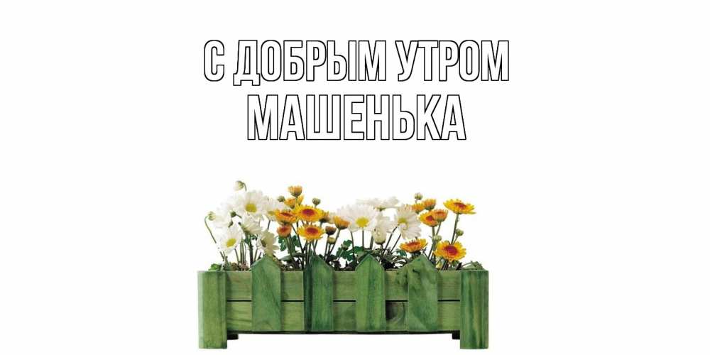 Открытка  с именем. Машенька, С добрым утром  