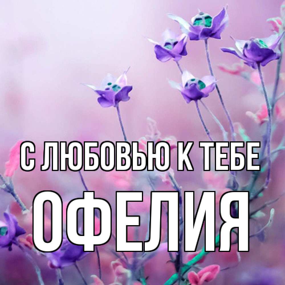 Открытка  с именем. Офелия, С любовью к тебе  