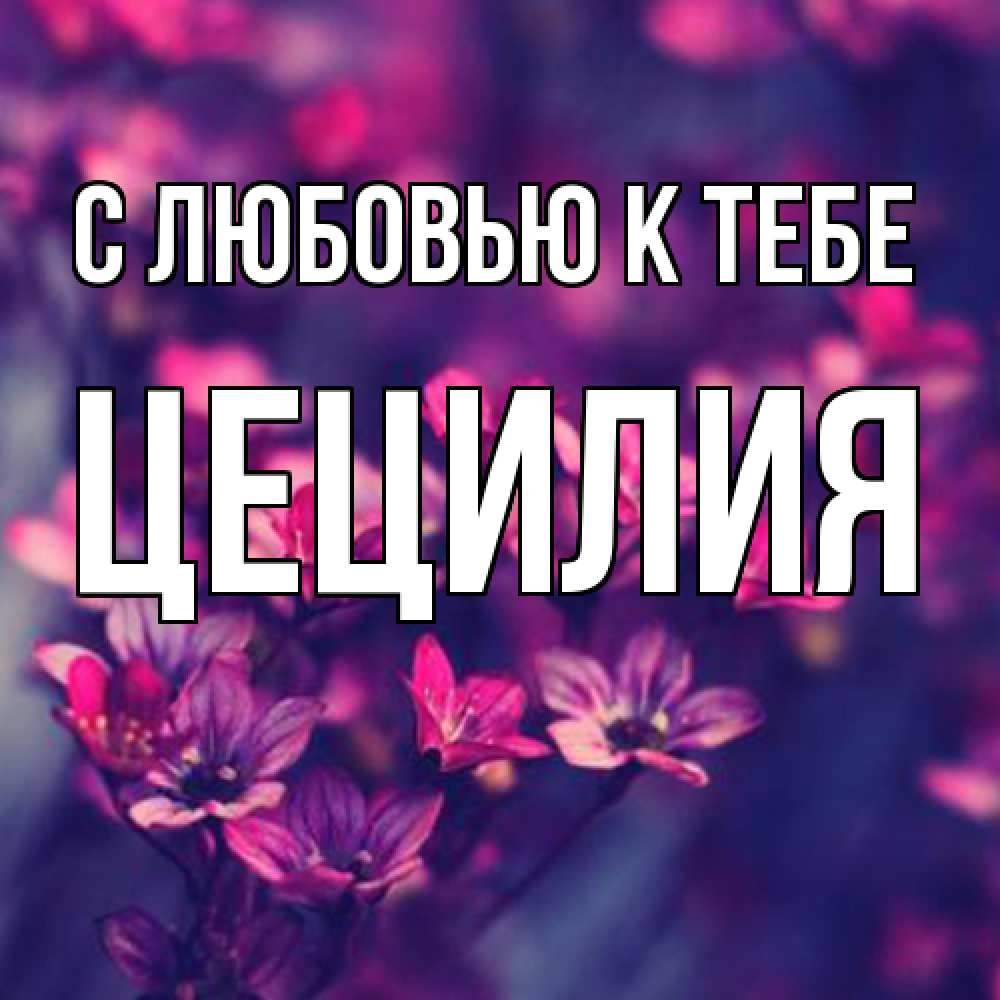 Открытка  с именем. Цецилия, С любовью к тебе  