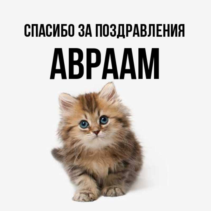 Картинка Спасибо за поздравления, Авраам