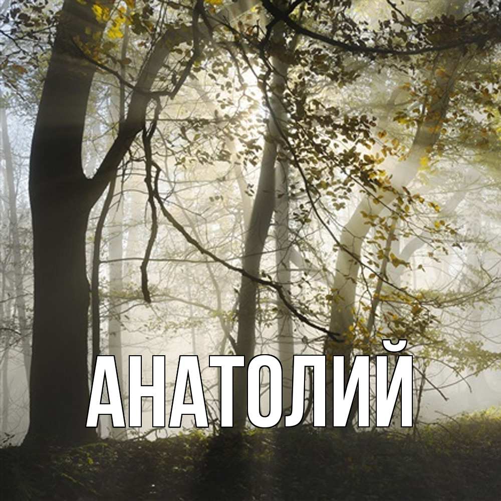 Открытка  с именем. Анатолий, Главная  