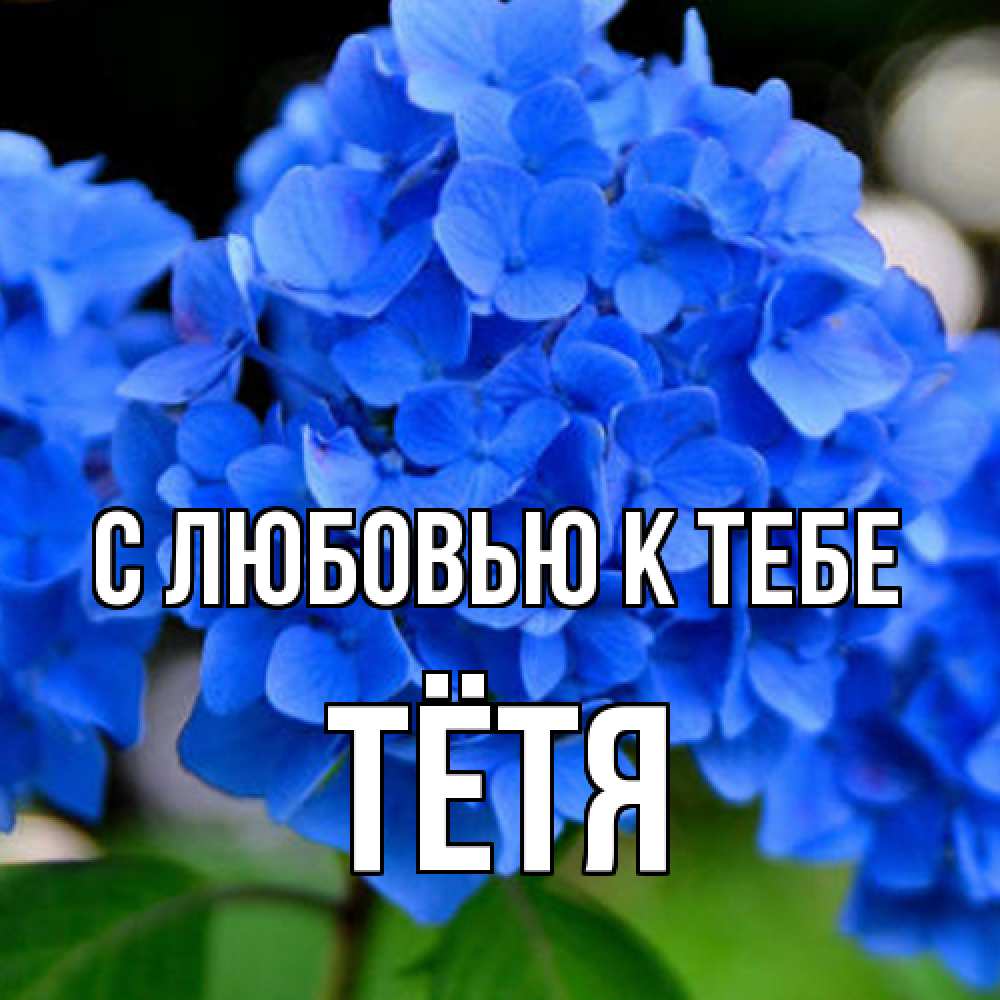 Открытка  с именем. Тётя, С любовью к тебе  