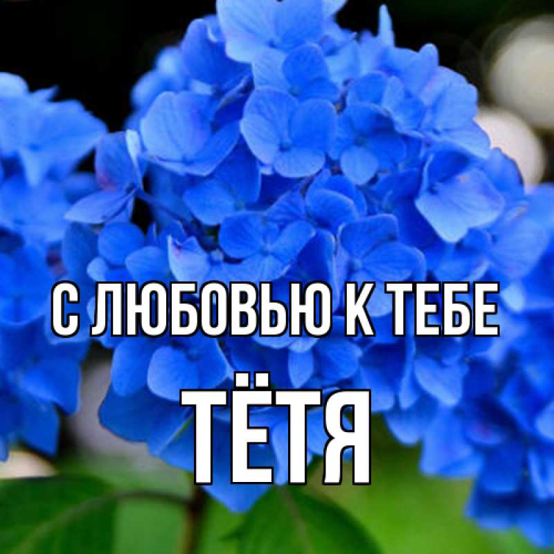 Картинка С любовью к тебе, Тётя