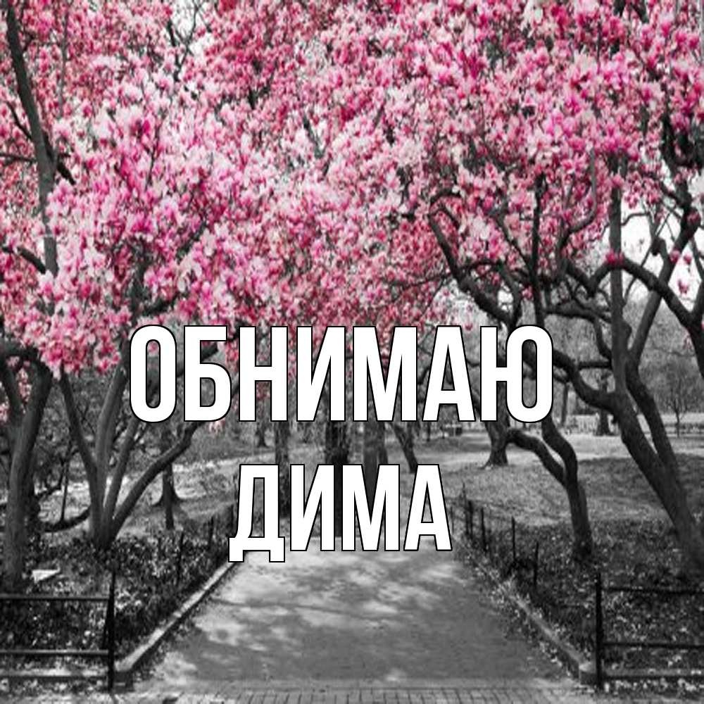 Открытка  с именем. Дима, Обнимаю  