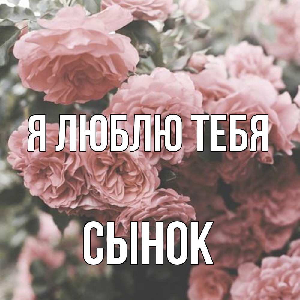 Открытка  с именем. Сынок, Я люблю тебя  