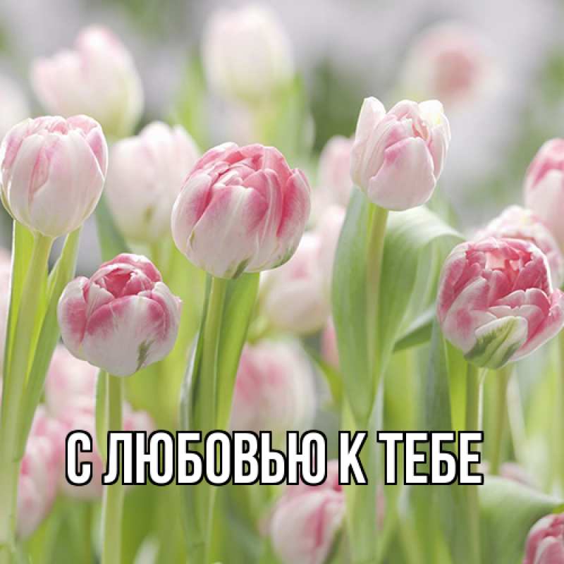 Картинка С любовью к тебе, 