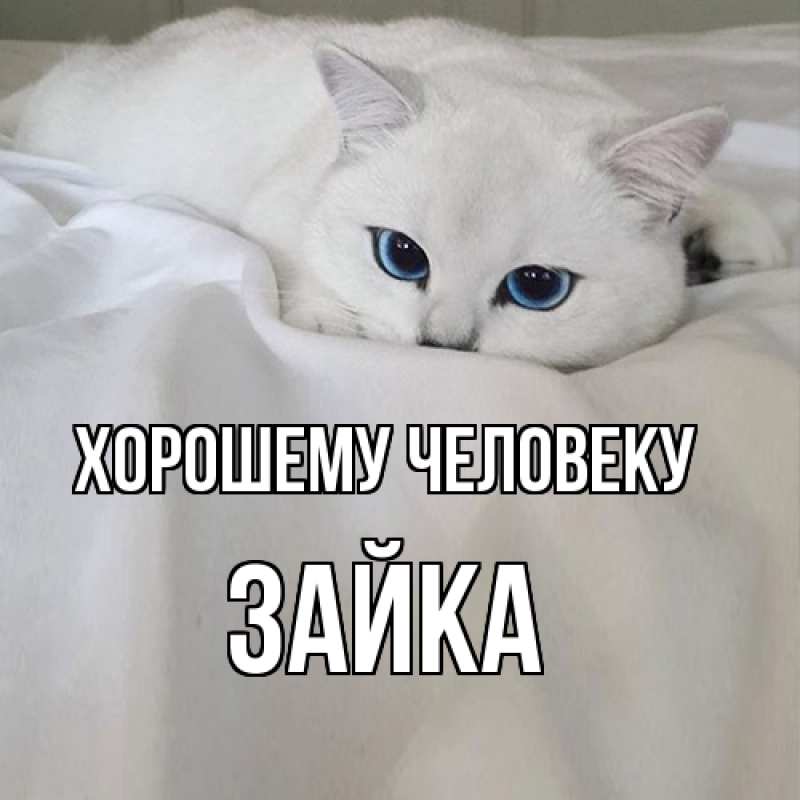 Картинка Хорошему человеку, Зайка