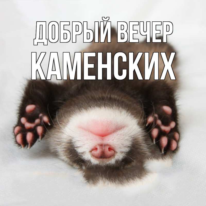 Картинка Добрый вечер, Каменских